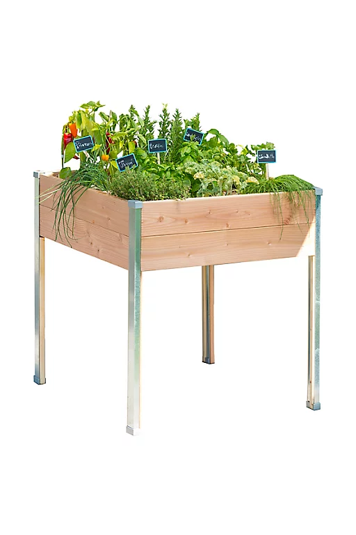 Castorama Carré Potager Sur Pieds Mon Petit Potager Design PM 65 X 60 X H.80 Cm