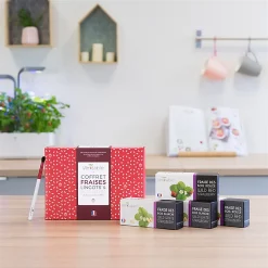 Castorama Coffret De Lingot® Et Accessoire Fraises Pour Potager Véritable®