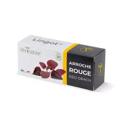 Castorama Lingot® Arroche Rouge Bio Pour Potager Véritable®