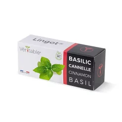 Castorama Lingot® Basilic Cannelle Bio Pour Potager Véritable®