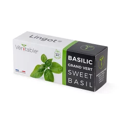 Castorama Lingot® Basilic Grand Vert Bio Pour Potager Véritable®