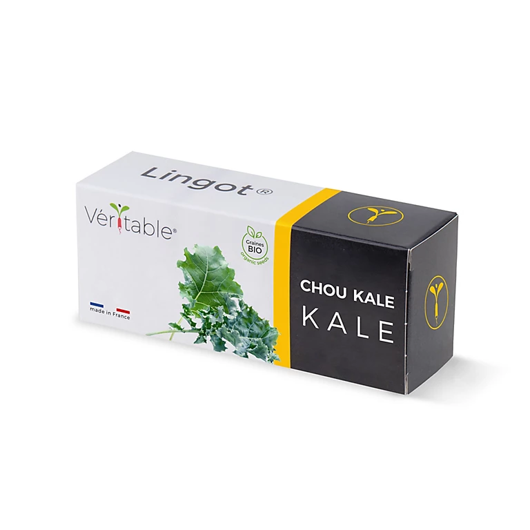 Castorama Lingot® Chou Kale Bio Pour Potager Véritable®