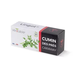 Castorama Lingot® Cumin Des Prés Pour Potager Véritable®