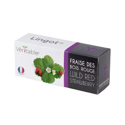 Castorama Lingot® Fraise Des Bois Rouge Pour Potager Véritable®