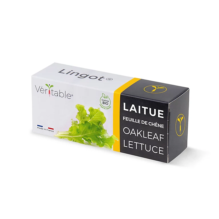 Castorama Lingot® Laitue Feuille De Chêne Bio Pour Potager Véritable®