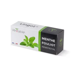 Castorama Lingot® Menthe Poulliot Pour Potager Véritable®