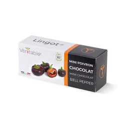 Castorama Lingot® Mini Poivron Chocolat Bio Pour Potager Véritable®