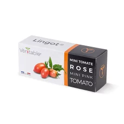 Castorama Lingot® Mini Tomate Rose Pour Potager Véritable®