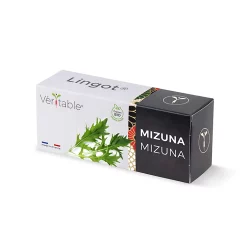 Castorama Lingot® Mizuna Bio Pour Potager Véritable®