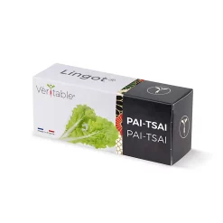Castorama Lingot® Pai Tsai Pour Potager Véritable®