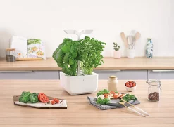 Castorama Potager D'intérieur Exky® Classic Arctic White