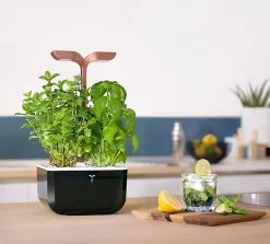 Castorama Potager D'intérieur Exky® Smart Copper