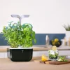 Castorama Potager D'intérieur Exky® Smart Soft Black