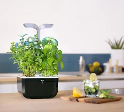 Castorama Potager D'intérieur Exky® Smart Soft Black