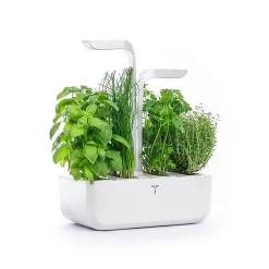 Castorama Potager D'intérieur Véritable® Classic + 1 Mini-ciseaux à Herbes Offerts