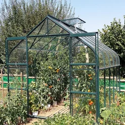 Castorama Serre En Verre Lams Aloe Vert 8,10m²